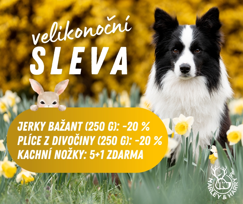 popupvanoce (1) 11.51.49